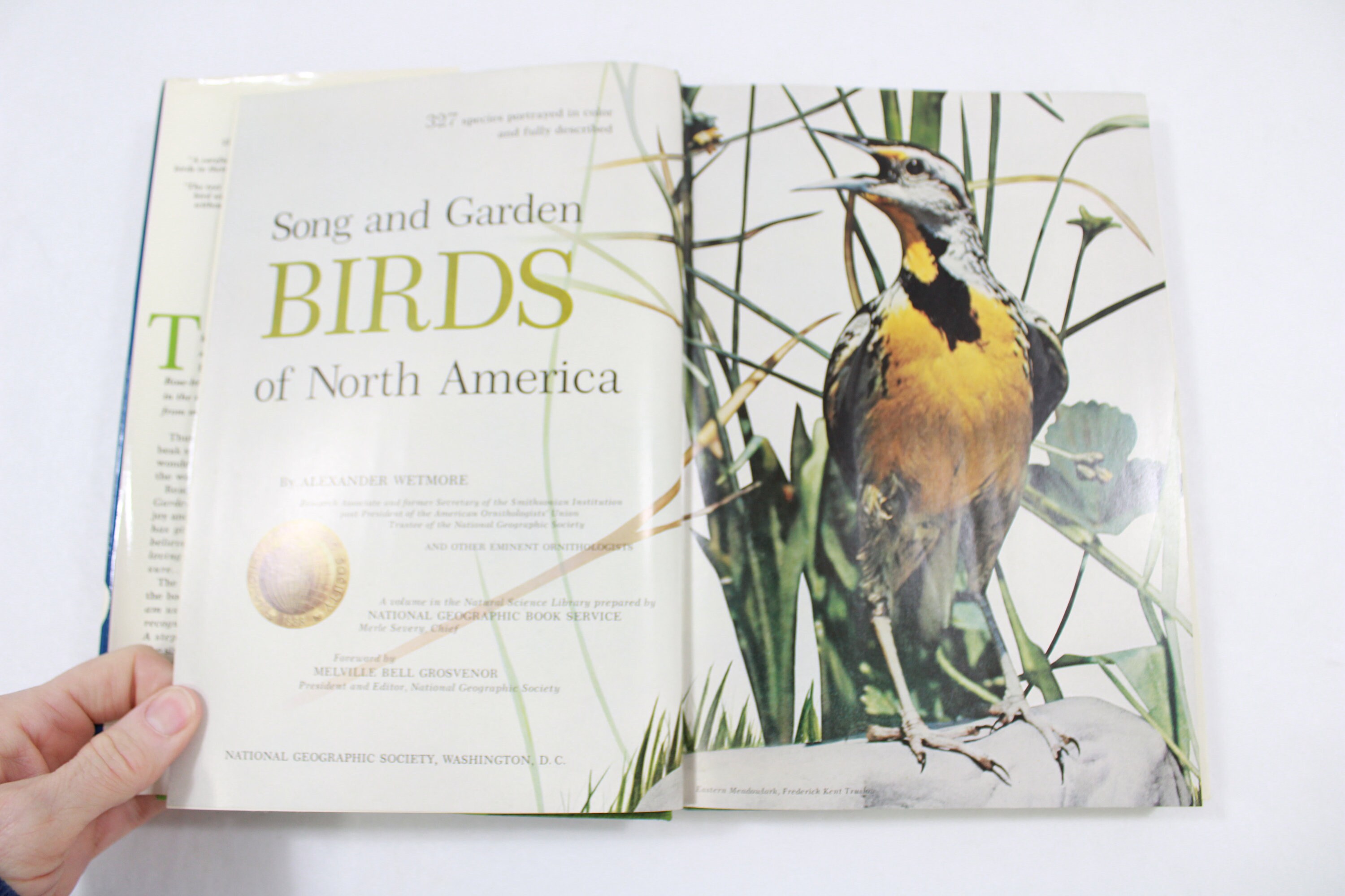 Song and Garden Birds of North America, National Geography Society