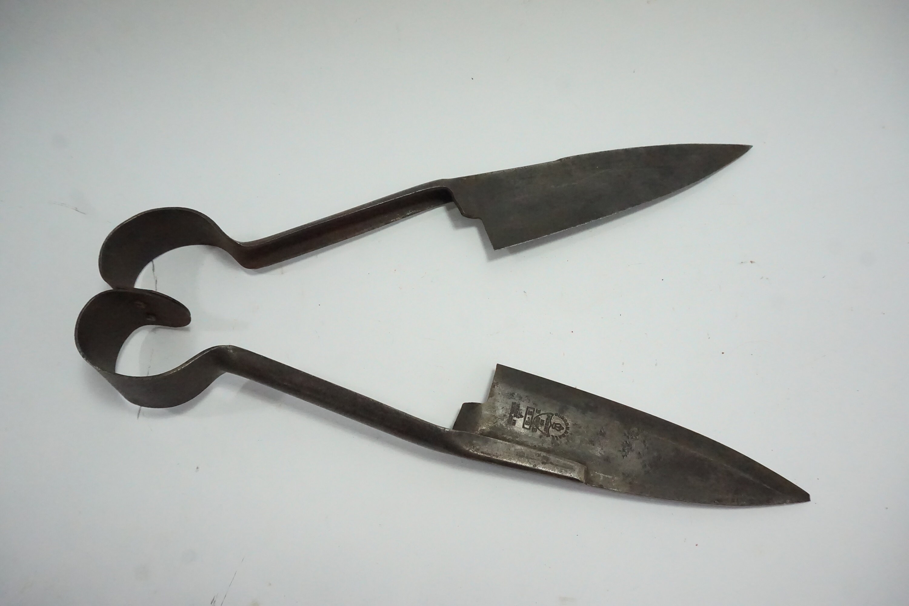 Burgon Ball Sheep Shears Single Bow 6 1/2