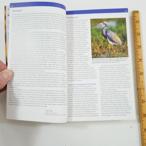 A Peterson Field Guide To Warblers Of North America Peterson Field Guides | Kimball Garrett, Jon, Dunn | First Edition