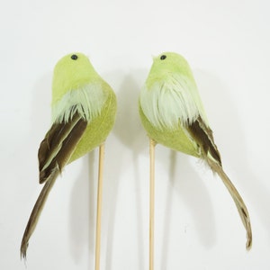2 kleine gefiederte Vögel auf Stick, grün #262 Kostenloser Versand aus den USA