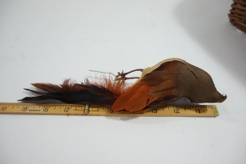 Brown Bird Wreath Floral Bird Cage Bird Brown Bird w Crown Artificial Bird Feathered Bird 9 12 L Brown Feather Bird Free USA Ship