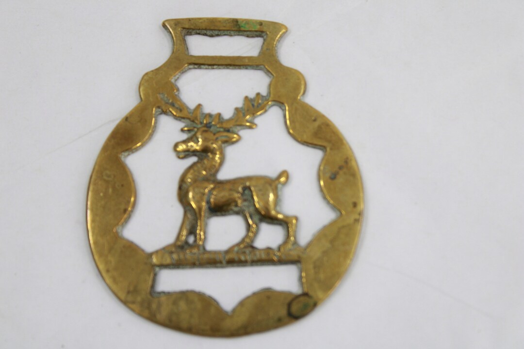 Horse Brass, Decorative Head, Tack, Equestrian Dress, Horse Show Dress