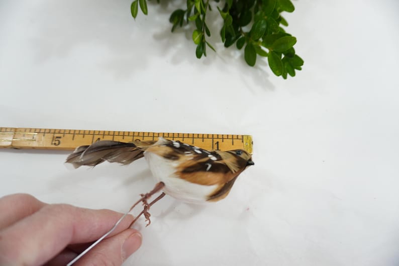 Artificial Bird, Feathered Bird, Fat Bird, Partridge Bird W Wire Feet ...