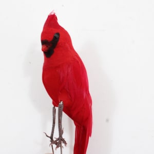 Künstlicher Vogel, gefiederter Vogel, Kardinal, 8 "H rot gefiederter Vogel, rt Seitenkranz Urlaub dekorieren Floral, Vogel Kardinal FREE USA Ship