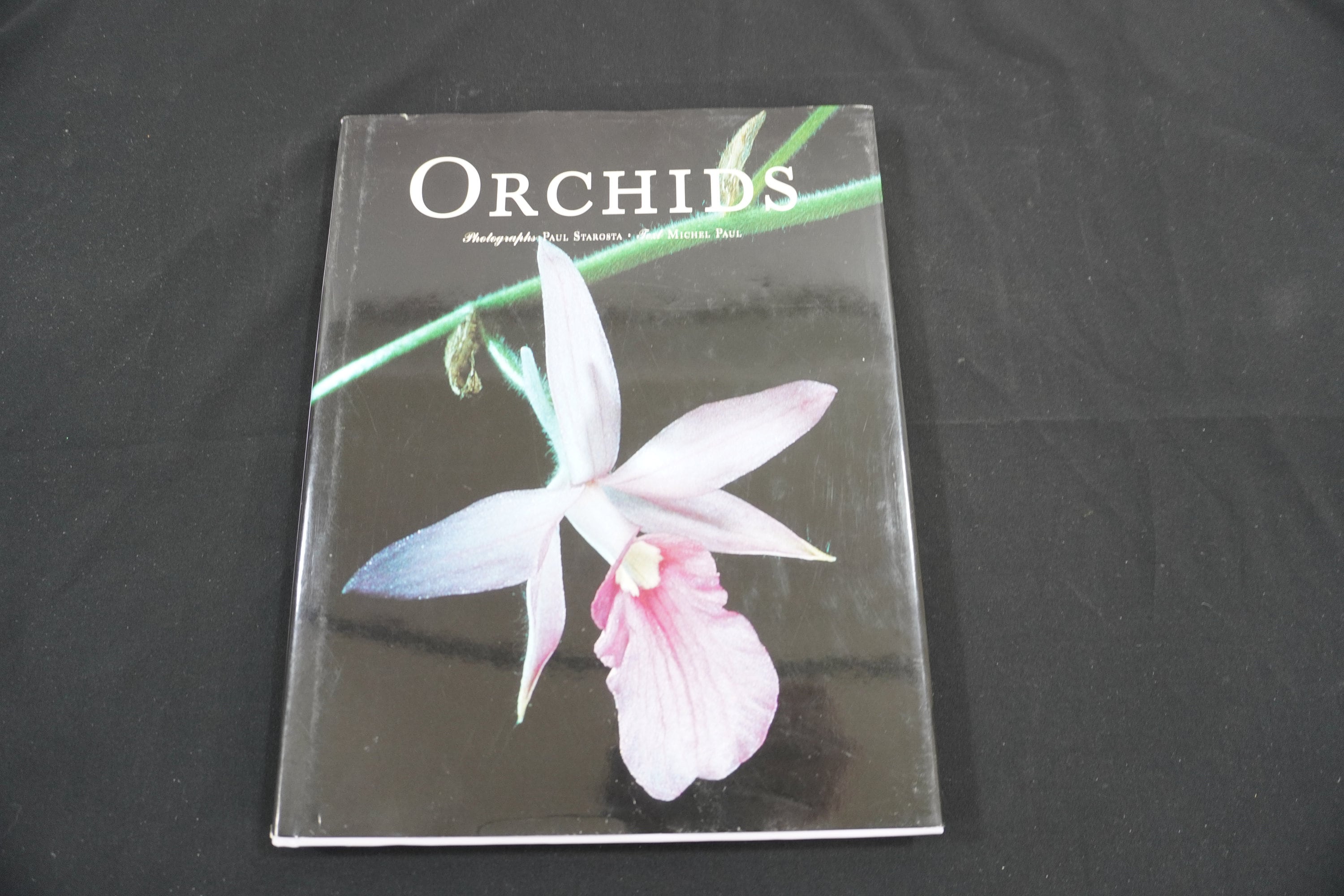 Orchids, Photographs by Paul Starosta, Text by Michel Paul, Orchid
