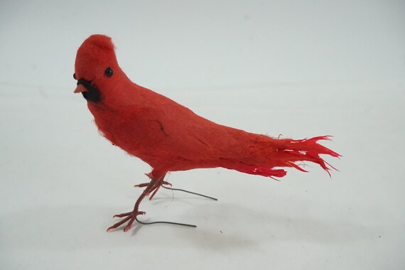 Feathers bird supplies online