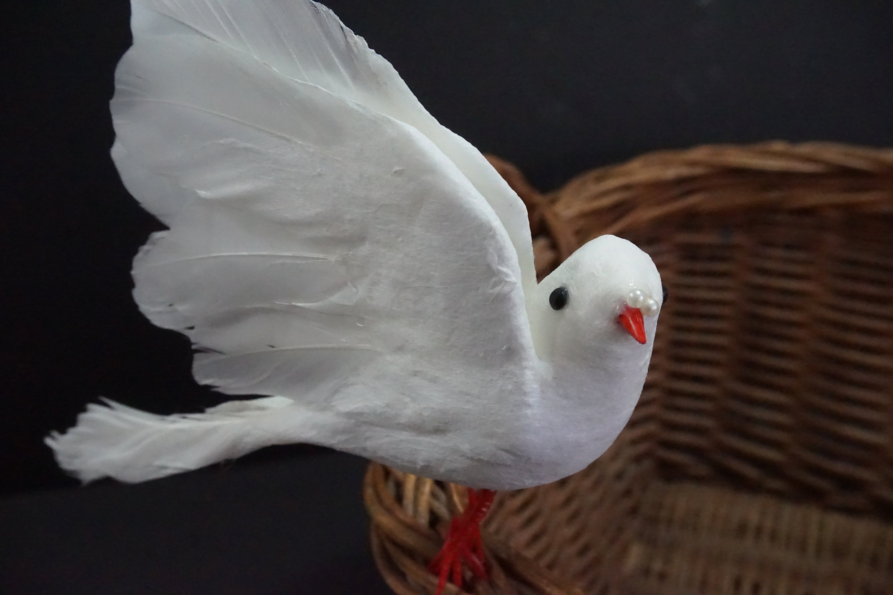 Kids White Dove Costume, Adult Dove Wings, White Bird Costume