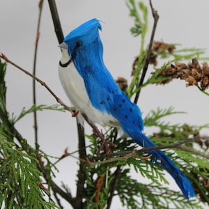 May include: A blue and white bird figurine perched on a branch of a green cedar tree. The bird has a blue head and body with white feathers on its chest and wings. The cedar tree has brown cones.