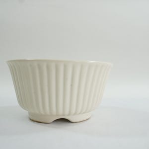 May include: White ceramic planter with a fluted design. The planter has a rounded bottom and a wide opening.