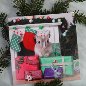 Weihnachtskarte 13 x 13 cm 13 x 13 cm 13 cm 13x18 cm 13 cm