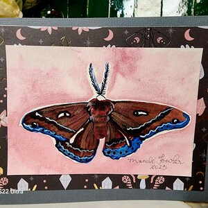 Moth Watercolor Greeting Card
