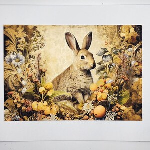 Vintage Kaninchen Briefkarten Set