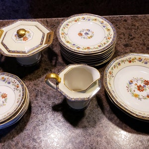 Choice of Vintage Theodore Haviland Limoges in Chateaudun Pattern