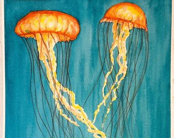 Jellyfish