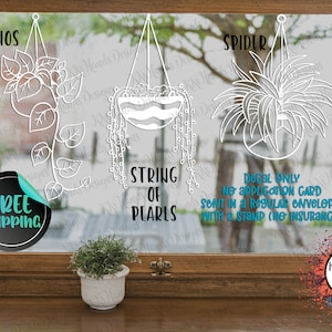 May include: White vinyl decals of hanging plants, including Pothos, String of Pearls, and Spider plants. The word "Pothos" is above a vine design, "String of Pearls" is below a hanging pot, and "Spider" is above a plant design.