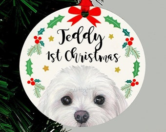 Könnte beinhalten: Weißer Keramik-Weihnachtsbaumschmuck mit einem weißen Hund mit schwarzen Augen und Nase. Der Anhänger hat ein rotes Band und einen grünen Stechpalmenkranz mit roten Beeren und goldenen Sternen. Der Text "Teddy 1. Weihnachten" ist in Schwarz auf dem Anhänger geschrieben.
