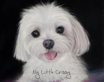 May include: A white Maltese dog with a pink tongue sticking out, looking directly at the camera. The dog is sitting on a purple surface with the text "My Little Crissy" written in cursive below it. The background is black.