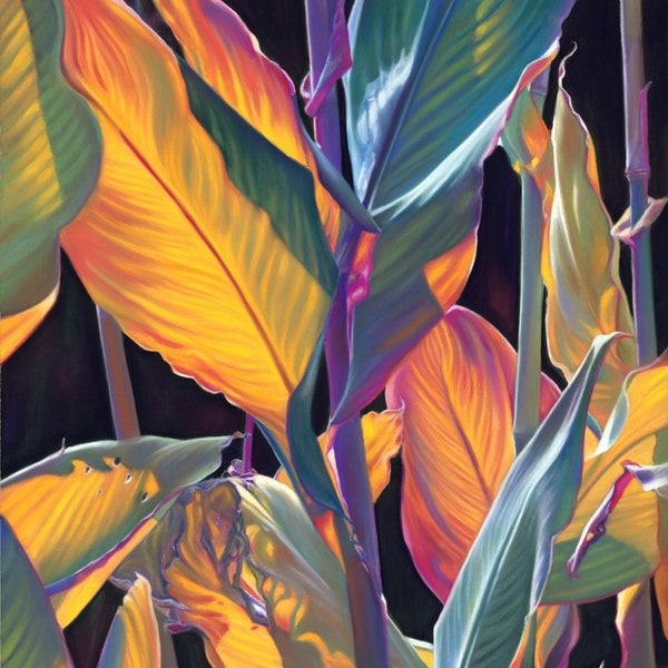 Tropical Leaf Art, Tropical Leaf Drawing