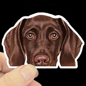 May include: Close-up of a brown and black dog's face. The dog has large, dark eyes and a long, pointed nose.