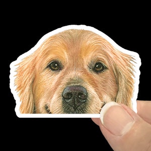 Golden Retriever Personal Stickers