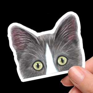 Cat Stickers, Gray Tuxedo Cat