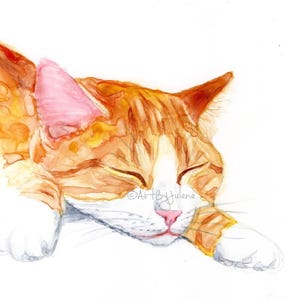 Orange Tabby Cat Art Print: Sleeping Kitten Pose