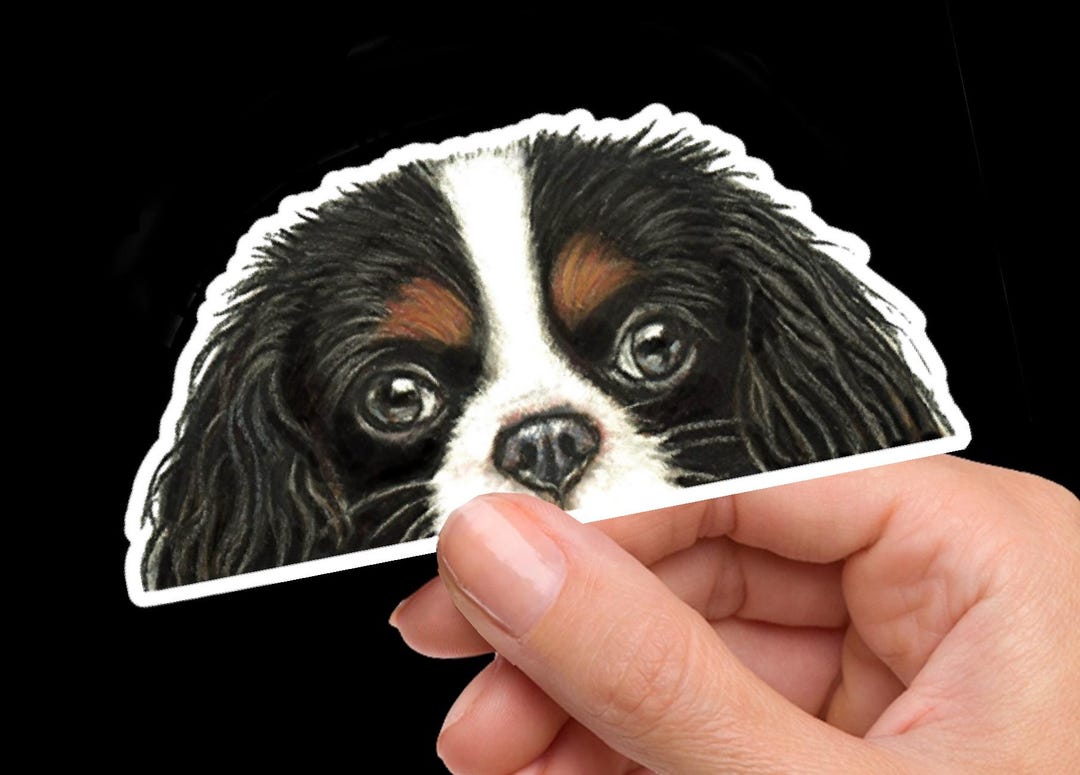 Cavalier King Charles Spaniel Stickers, Four Cavalier Colors - Etsy