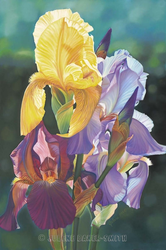 Items similar to Iris Flower Art, Spring Iris Bouquet, Yellow and ...
