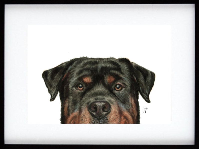 Rottweiler Original Art Rottweiler Lover Rottweiler Gift
