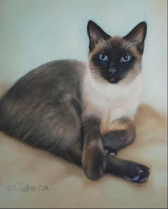 Siamese Cat Art Print