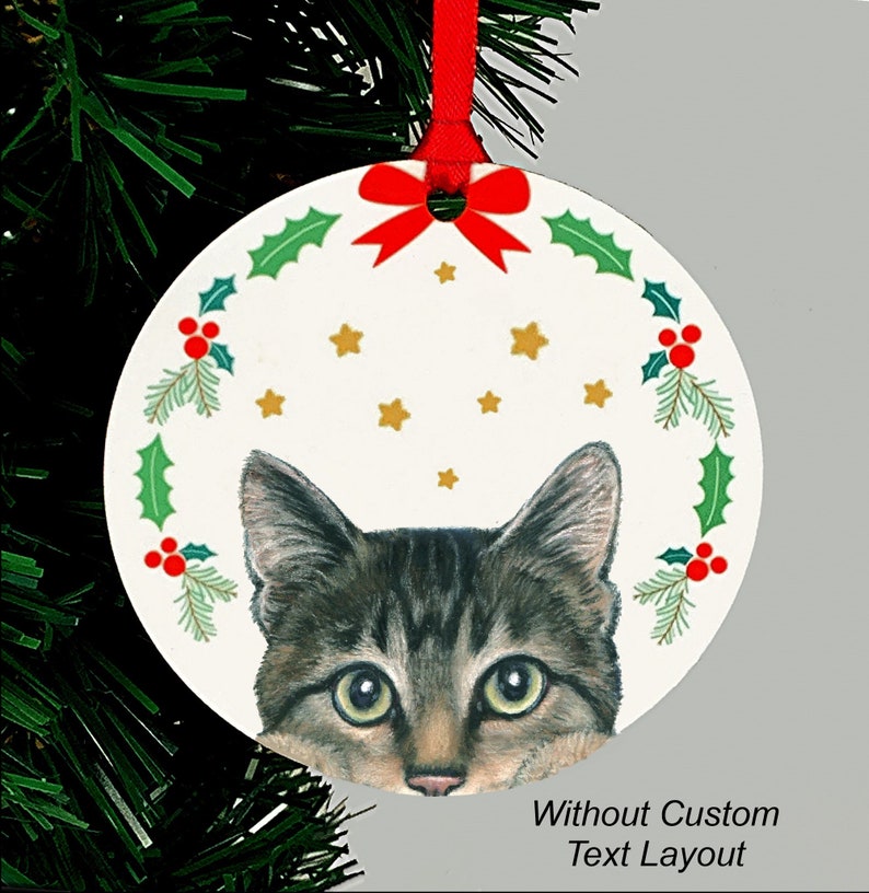 Tabby cat on christmas