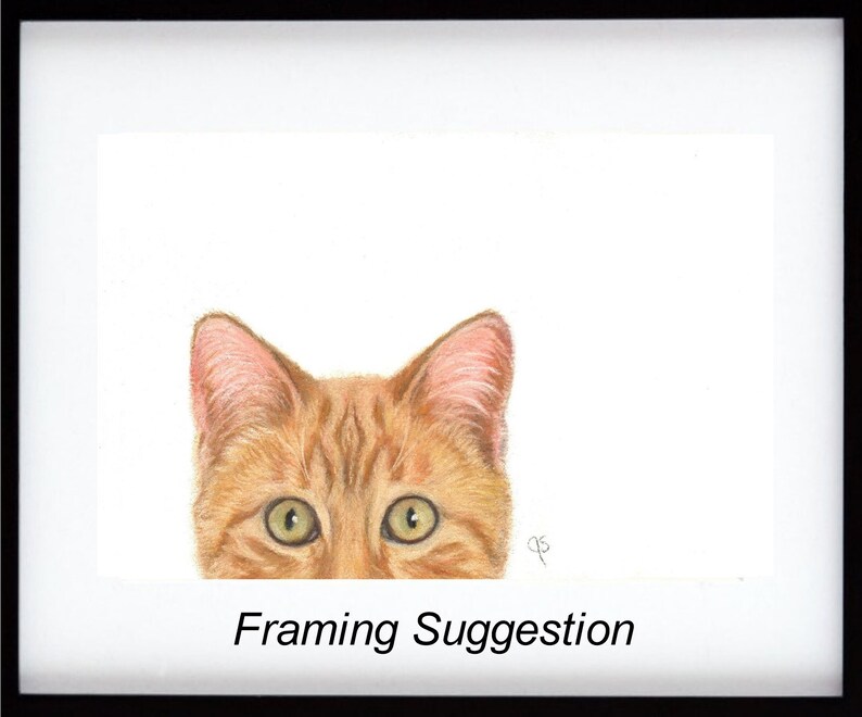 Cat Art Orange Cat Art Personalized Ginger Tabby Cat Print Etsy Ireland