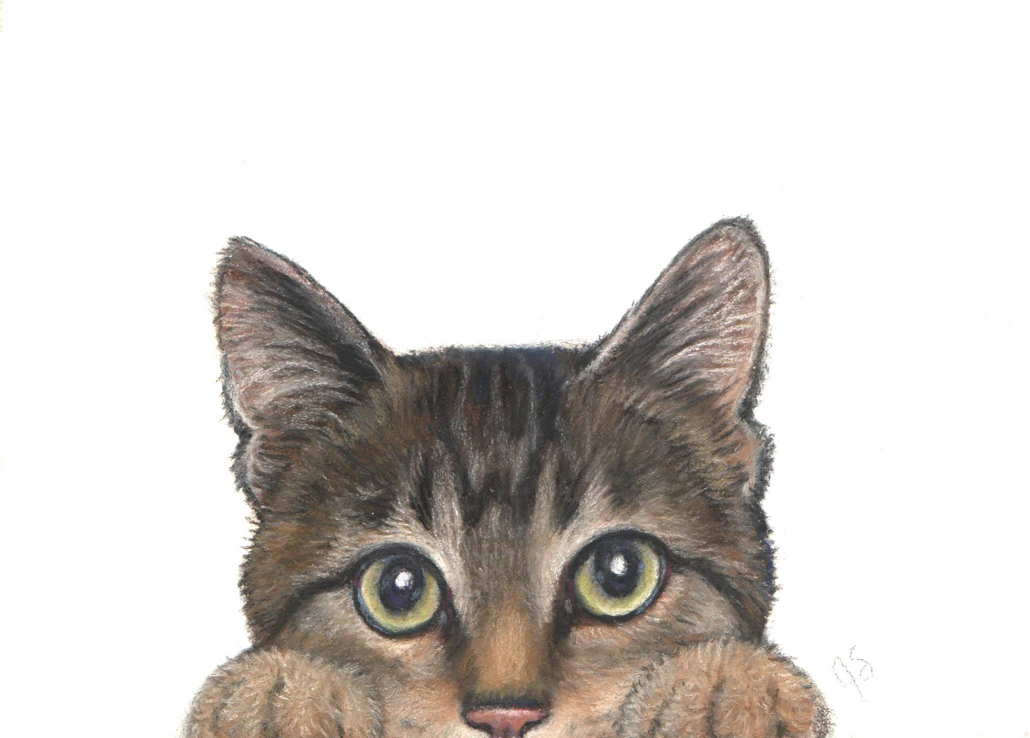 Cat Art Tabby Cat Art Brown Tabby Cat Tabby Cat Peek A Boo ...