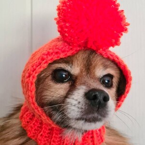 Dog Hat- Pug Hat - Pug Balaclava - Pug Bobble Hat - Pet Clothes - Dog Clothing -