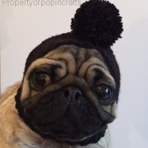 Dog Hat Pug Hat Pug Balaclava Pug Bobble Hat Pet Clothes Dog Clothing image 3