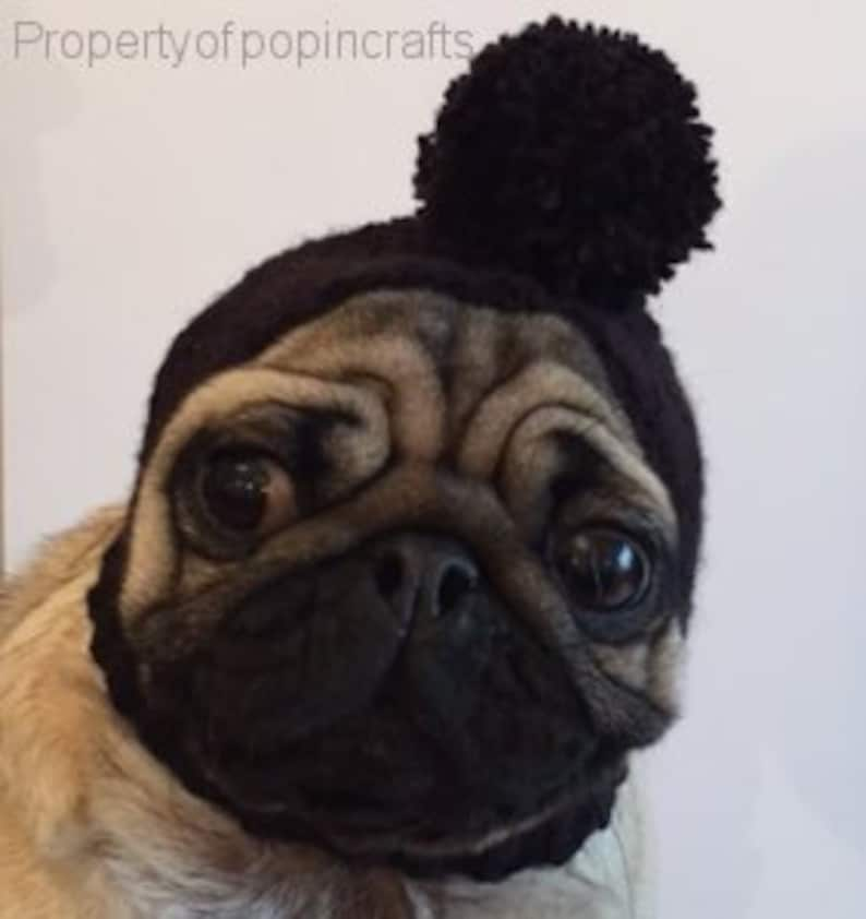 Dog Hat Pug Hat Pug Balaclava Pug Bobble Hat Pet Clothes Dog Clothing image 3