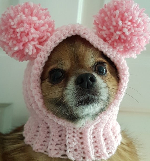 Dog bobble hat deals