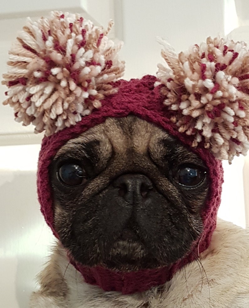 Dog Hat Pug Hat Pug Balaclava Pug Bobble Hat Pet Clothes Dog Clothing image 5