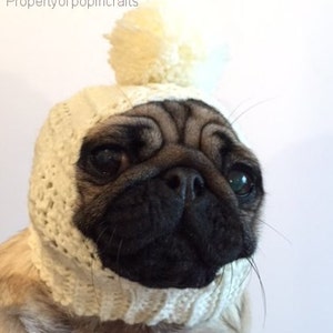 Dog Hat Pug Hat Pug Balaclava Pug Bobble Hat Pet Clothes Dog Clothing image 2