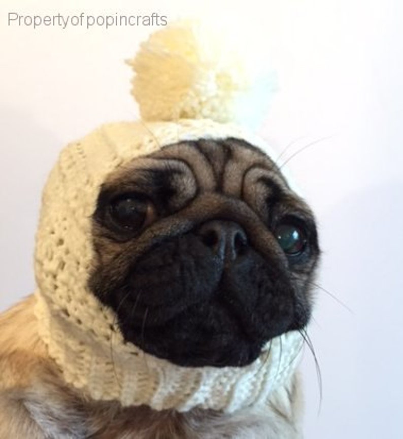 Dog Hat Pug Hat Pug Balaclava Pug Bobble Hat Pet Clothes Dog Clothing image 2