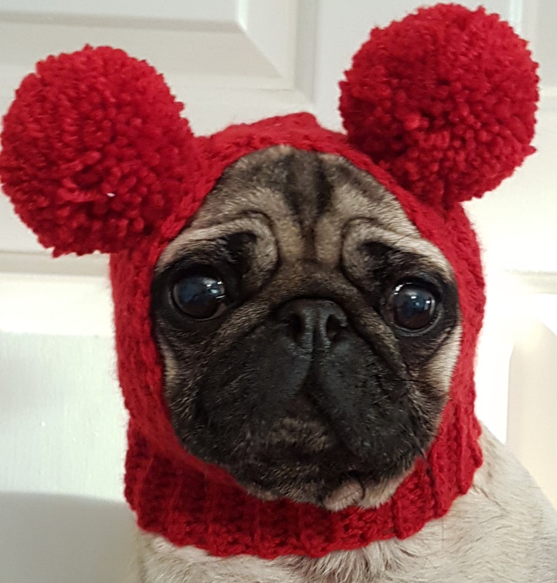 Dog Hat Pug Hat Pug Balaclava Pug Bobble Hat Pet Clothes Dog Clothing image 4