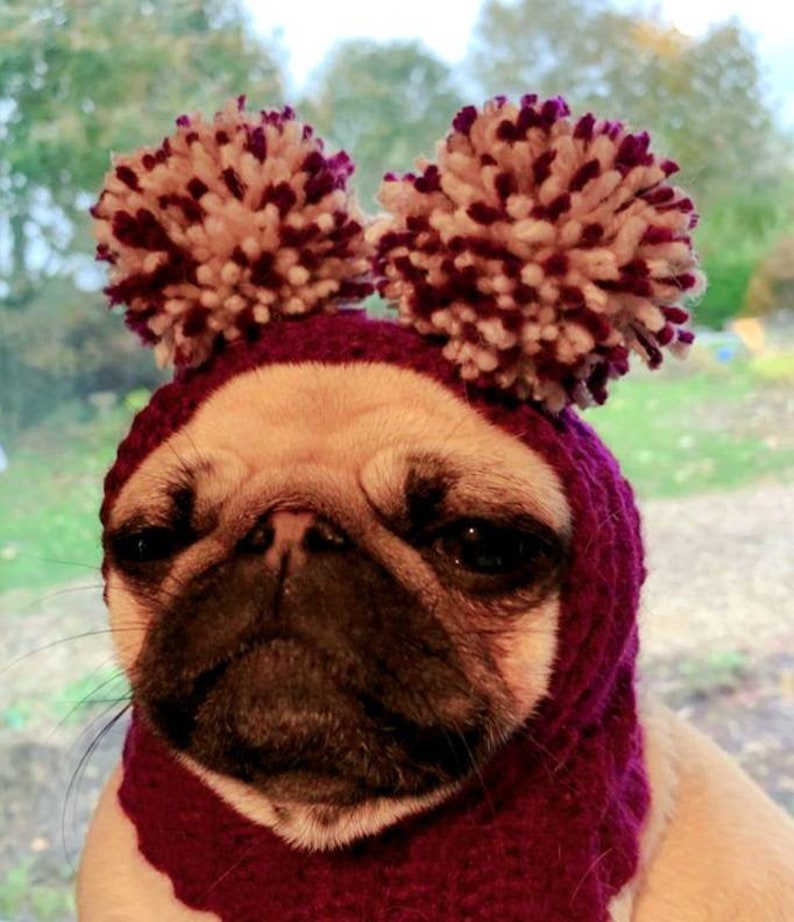 Dog Hat Pug Hat Pug Balaclava Pug Bobble Hat Pet Clothes Dog Clothing image 7