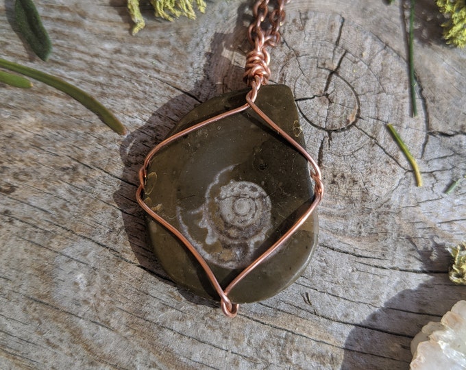 Ammonite in matrix pendant, ammonite pendant, ammonite fossil pendant, ammonite jewelry, crystal jewelry, handmade jewelry, rare, cute jewel