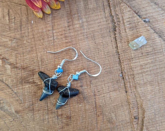 Baby megalodon shark tooth and turquoise earrings, natural high quality rare megalodon tooth earrings, baby shark earrings, turquoise earrin