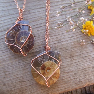 opalized Ammonite slice pendant, natural ammonite crystal pendant in pure copper, half ammonite, ammonite fossil necklace, sliced ammonite