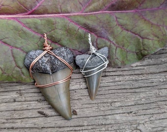 megalodon shark tooth pendant, megalodon tooth necklace, shark teeth necklace, shark tooth necklace, WINTER SPECIAL, solid copper or sterlin