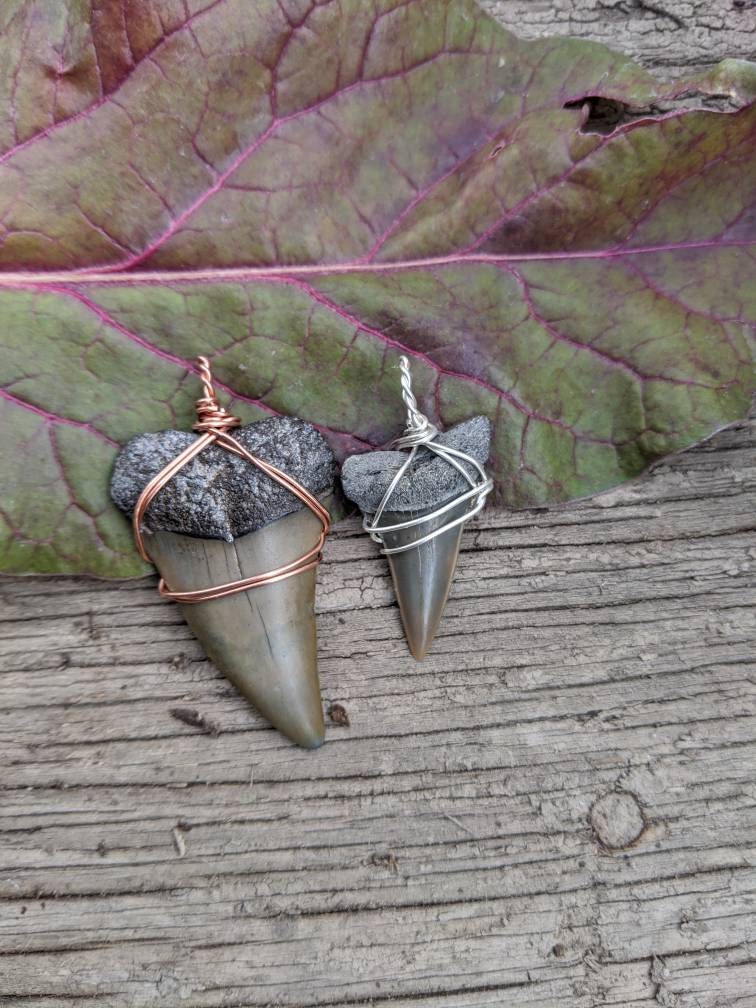 Megalodon shark shop tooth necklace