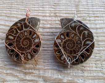 May include: Two ammonite fossils, one with copper wire and the other with silver wire, wrapped around the edges. The fossils are brown and have a spiral pattern.