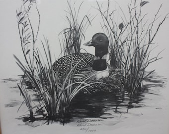 loon drawing etsy