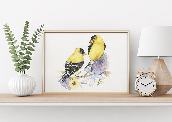 Affiches Chardonnerets Oiseaux Du Québec Print 5x7 Pouces Cadeau Ornithologues Illustrations Oiseaux Dessin Doiseaux Bird Print